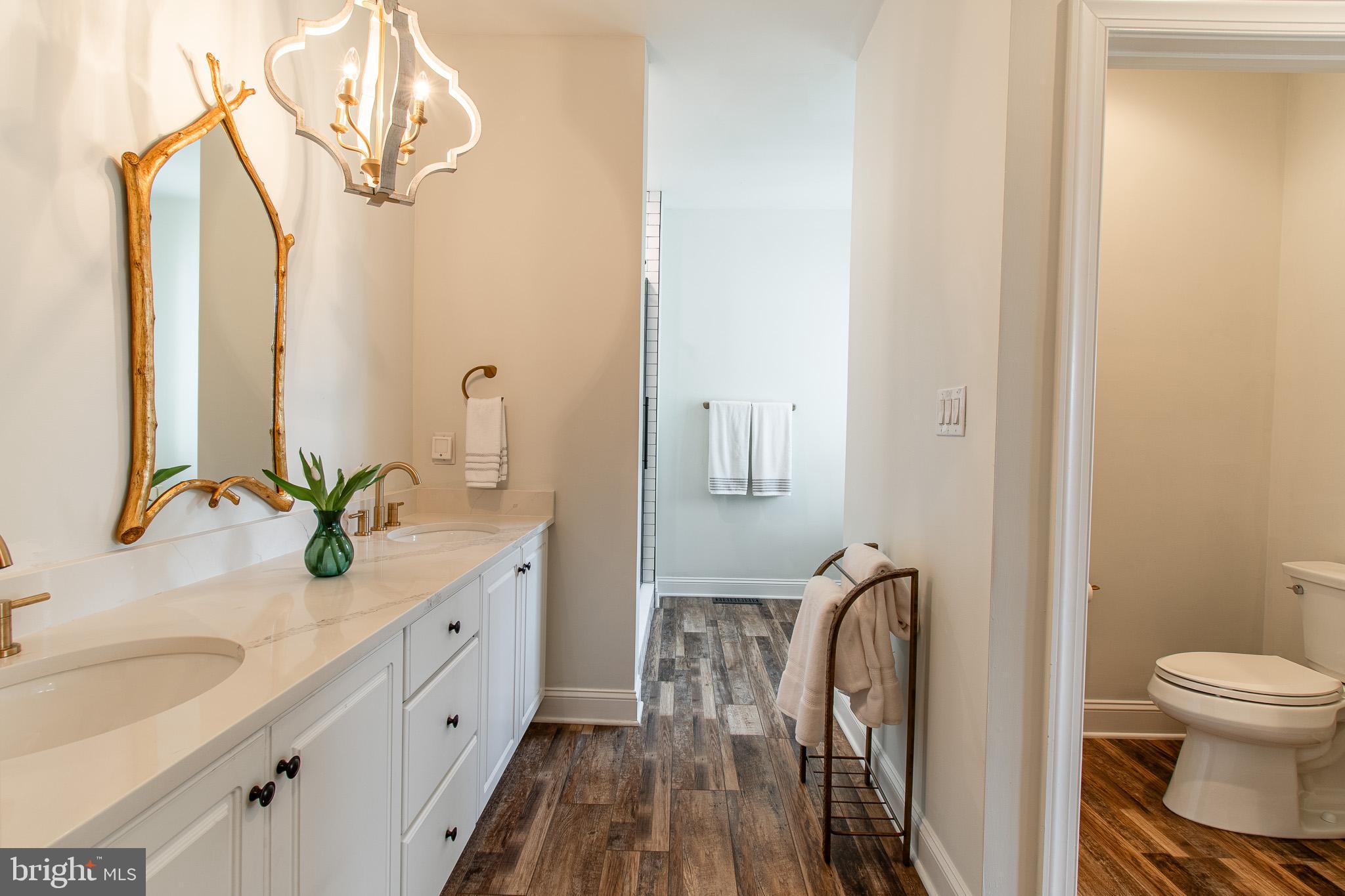 24912 BACK CREEK DRIVE