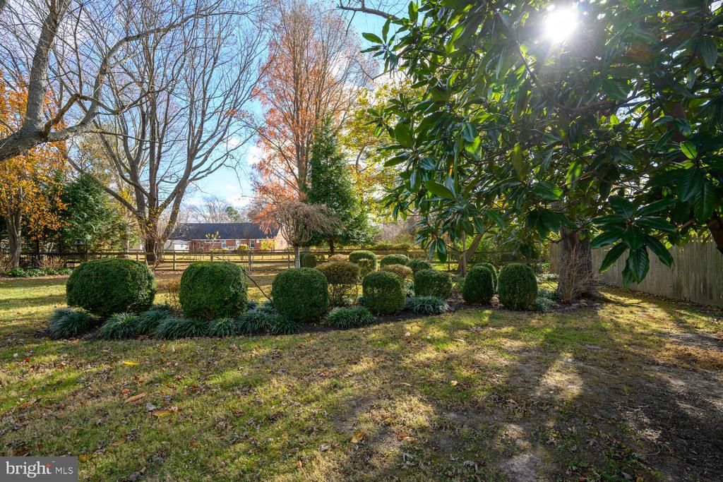 3962 MAIN STREET