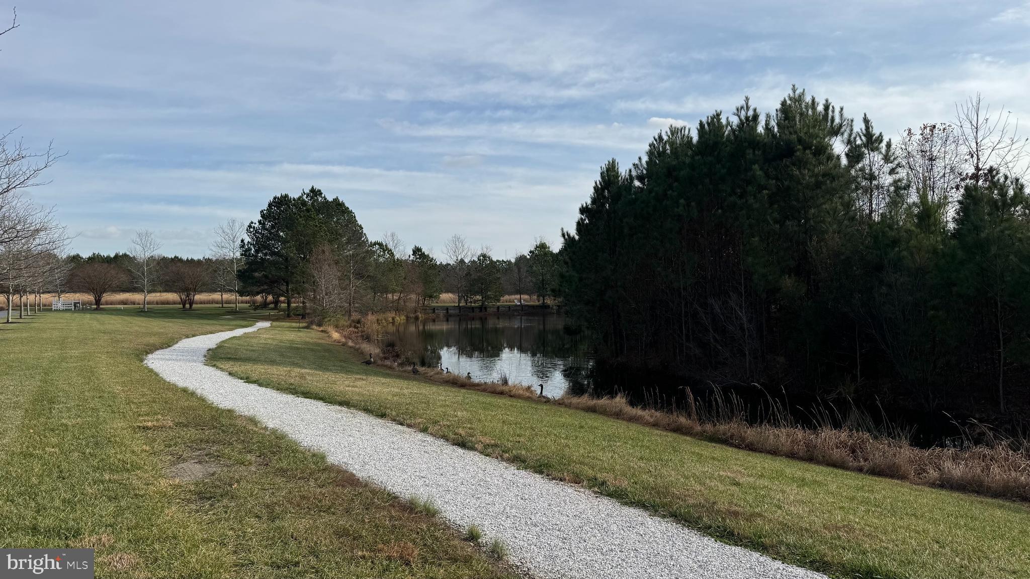 8095 N FORK BOULEVARD