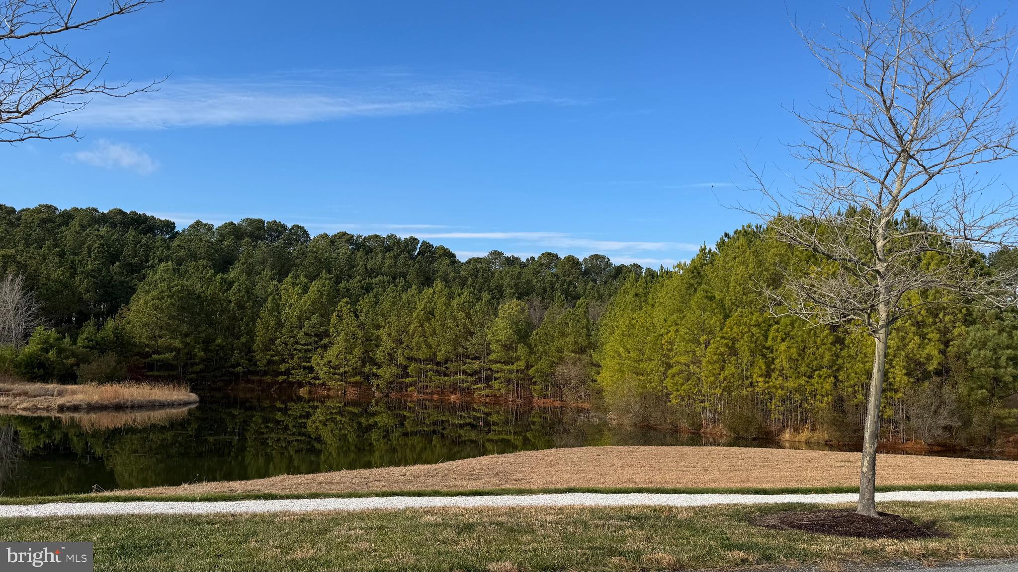 8095 N FORK BOULEVARD