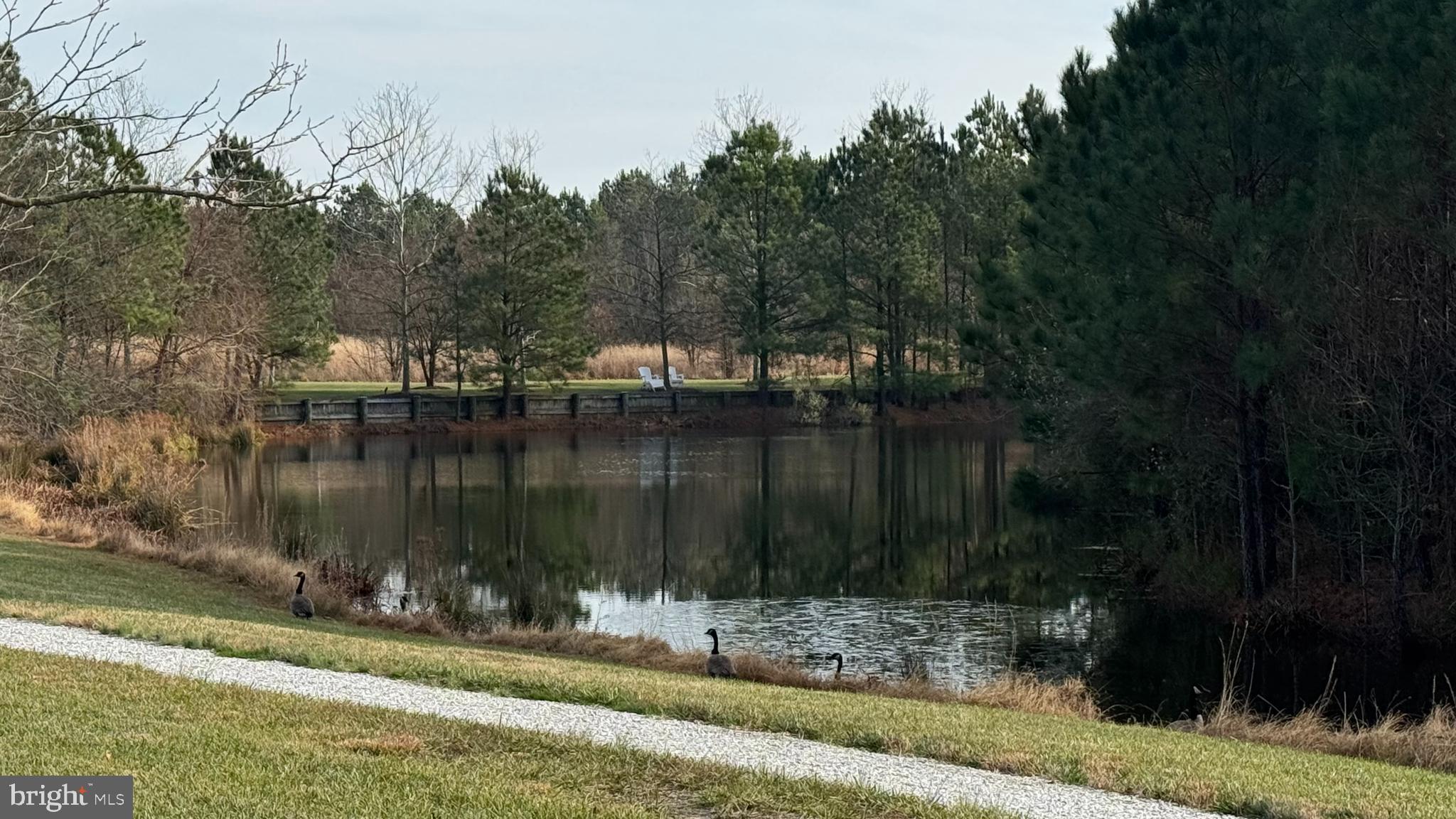 8095 N FORK BOULEVARD