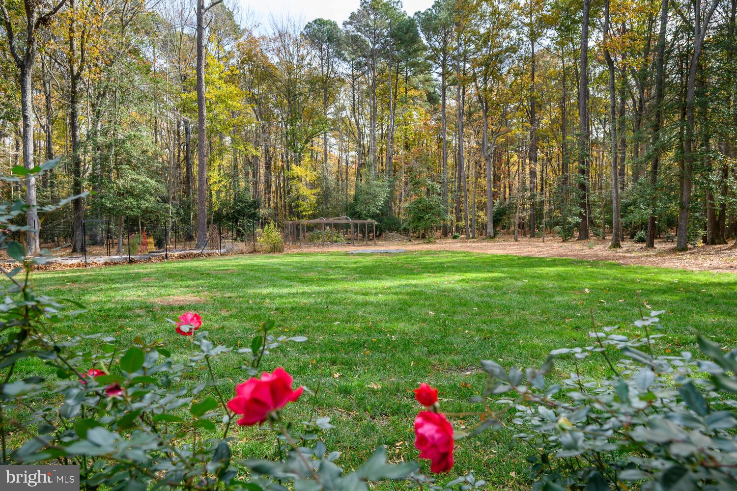 23869 MOUNT MISERY ROAD