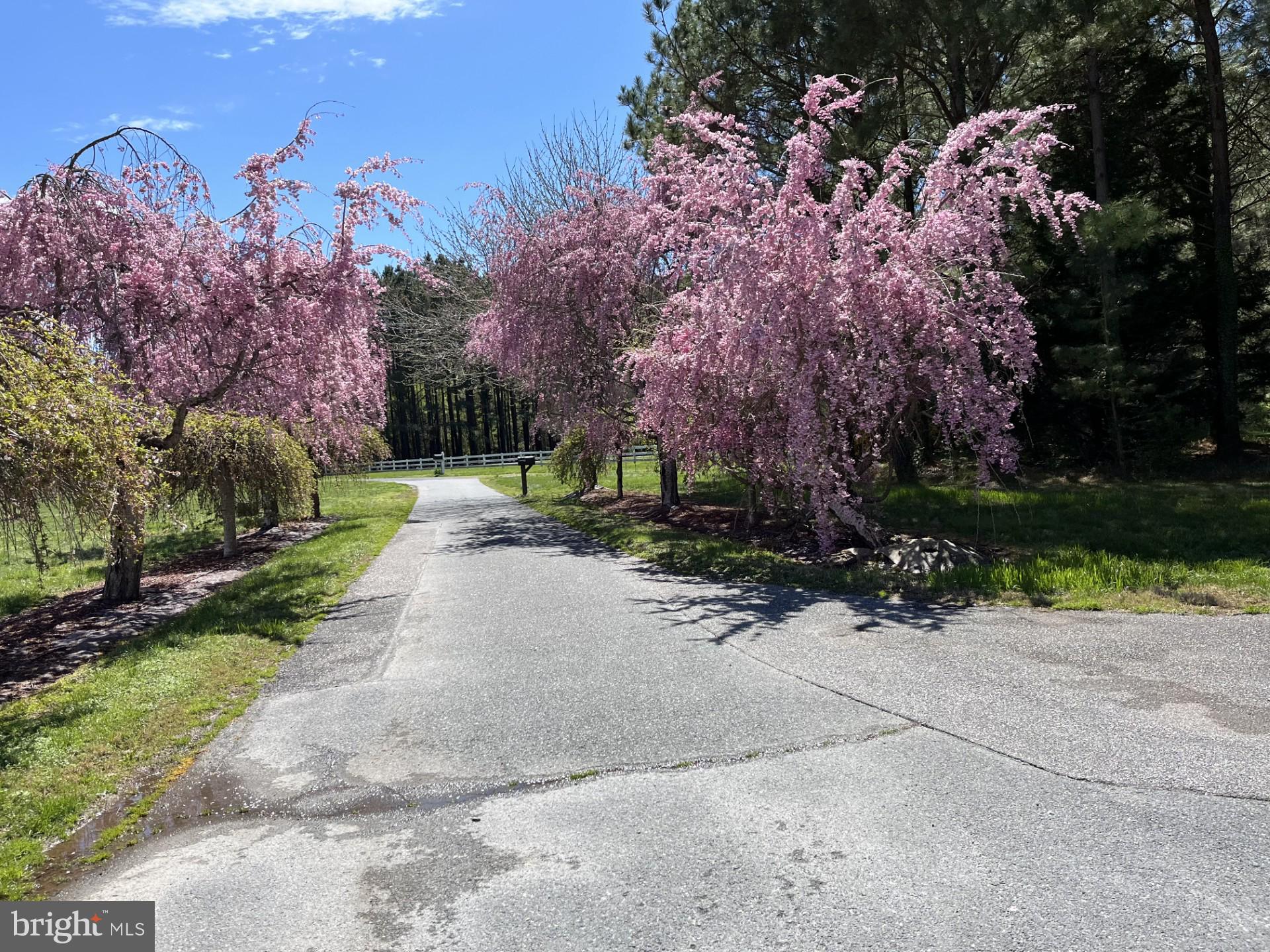 7605 PENDLETON FARM LANE