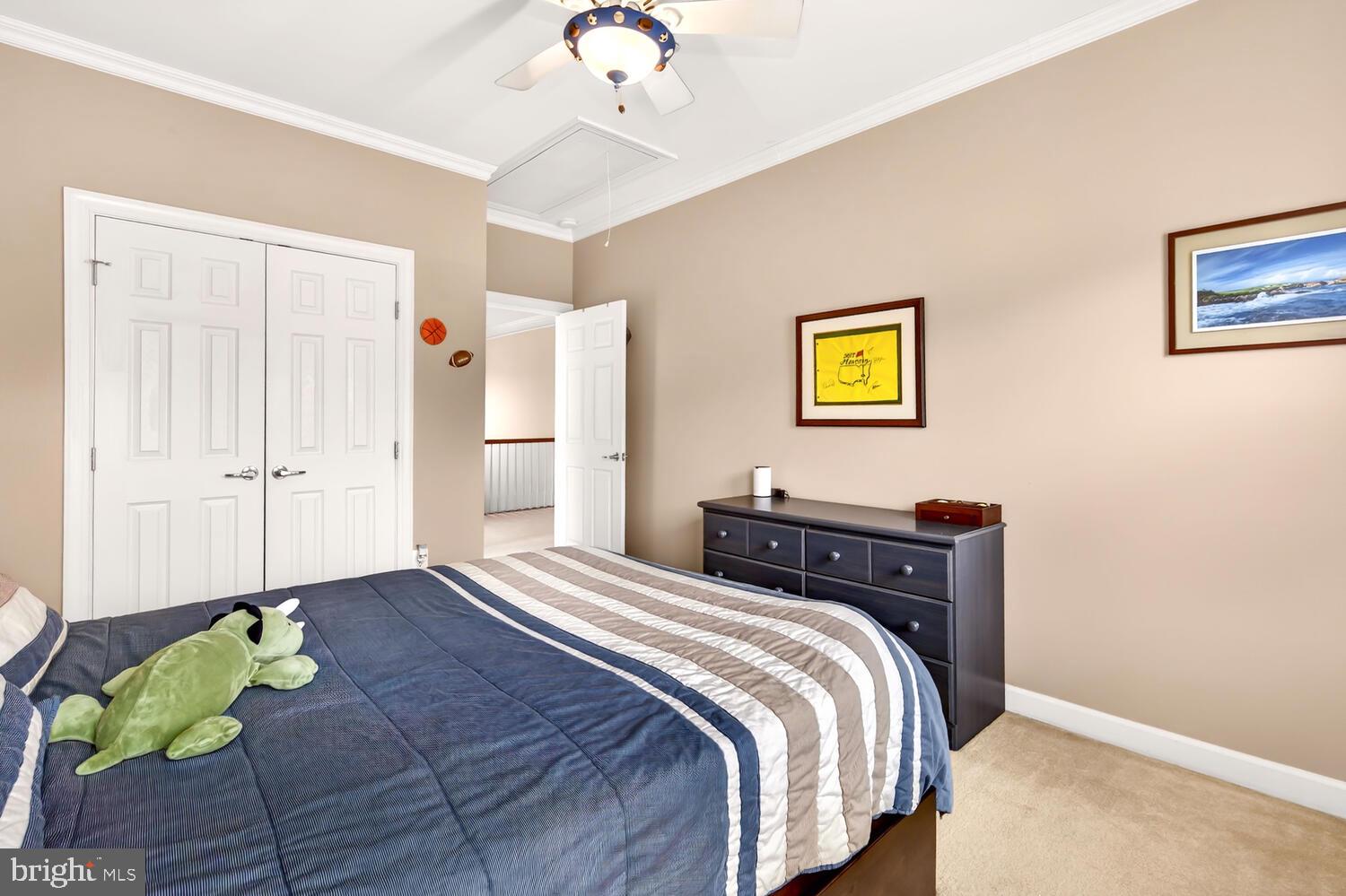 28241 KNAPPS LOT STREET