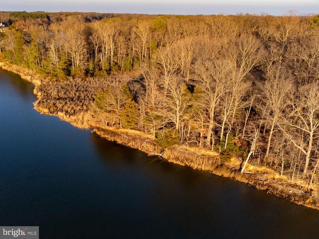 CODS POINT ROAD