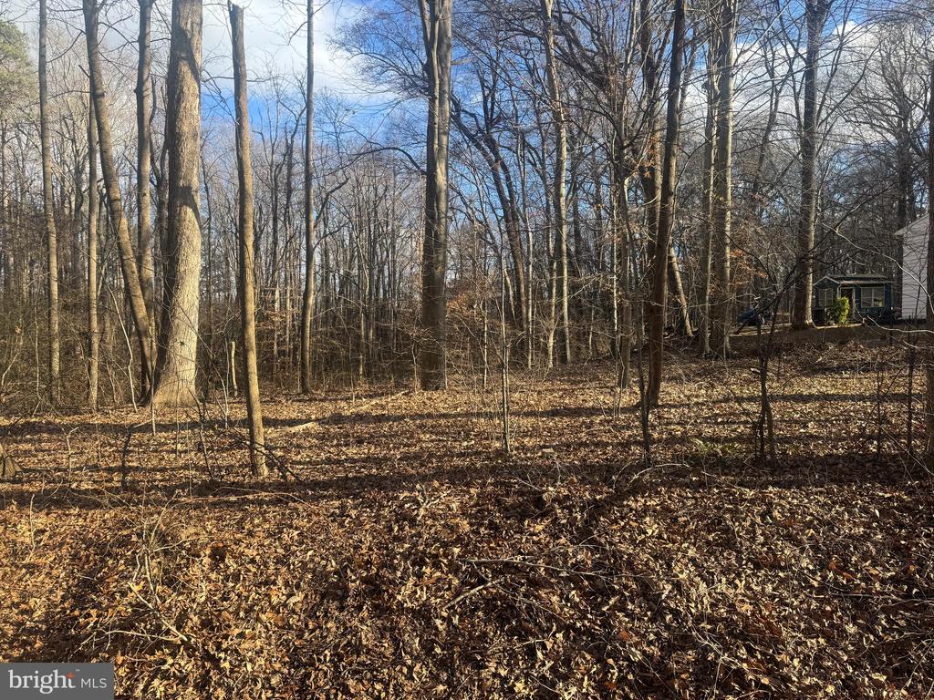 GLEN RIDGE ROAD