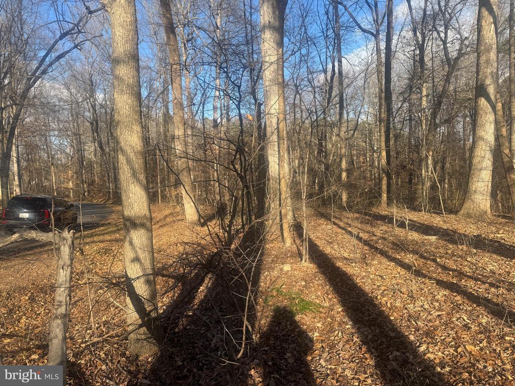 GLEN RIDGE ROAD