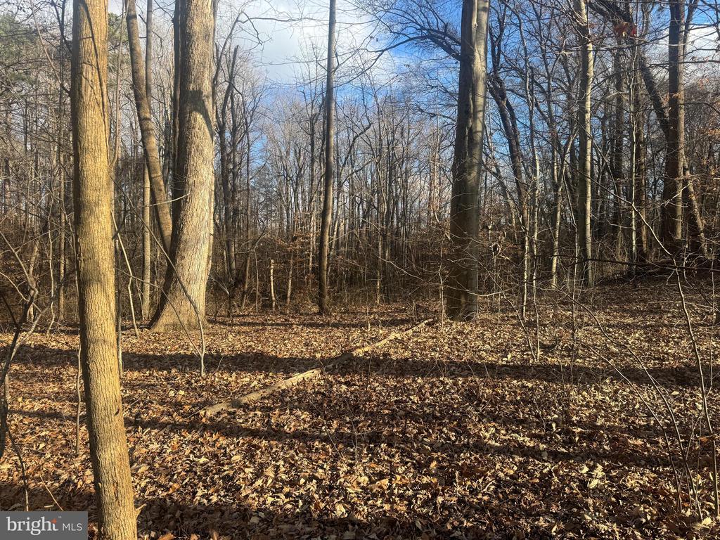 GLEN RIDGE ROAD