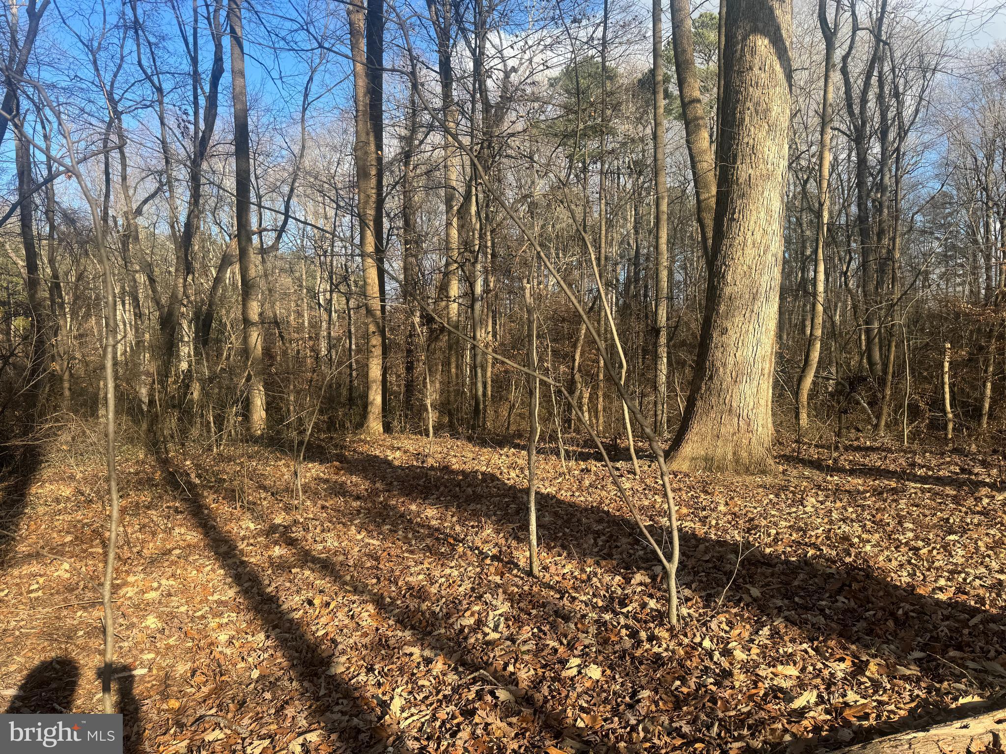 GLEN RIDGE ROAD