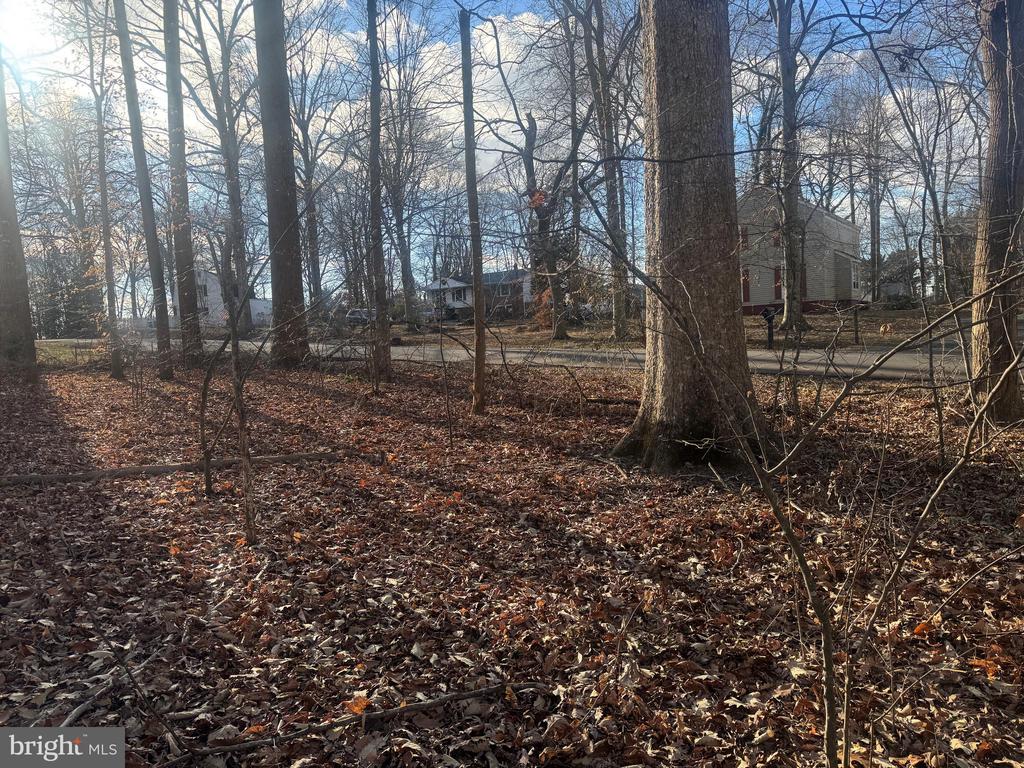 GLEN RIDGE ROAD