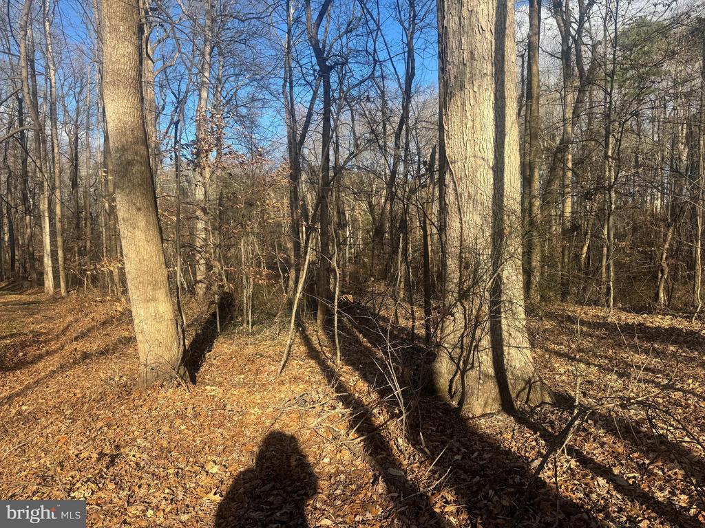 GLEN RIDGE ROAD