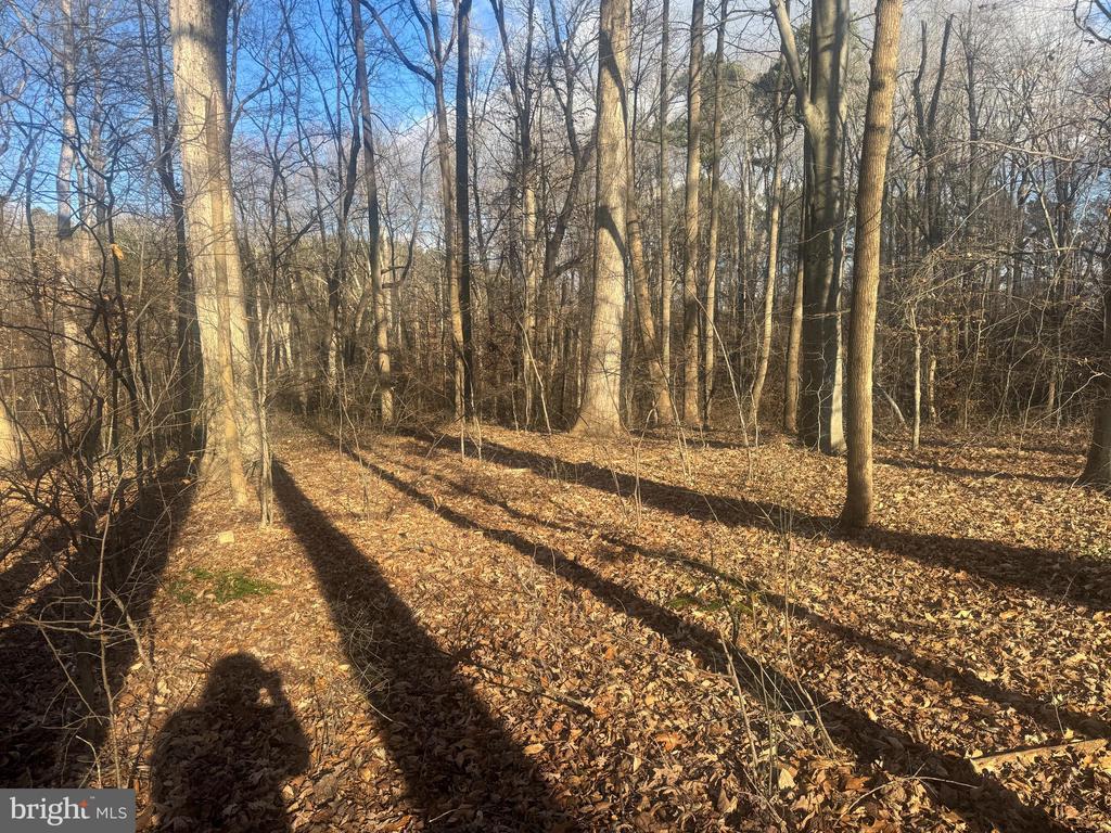 GLEN RIDGE ROAD