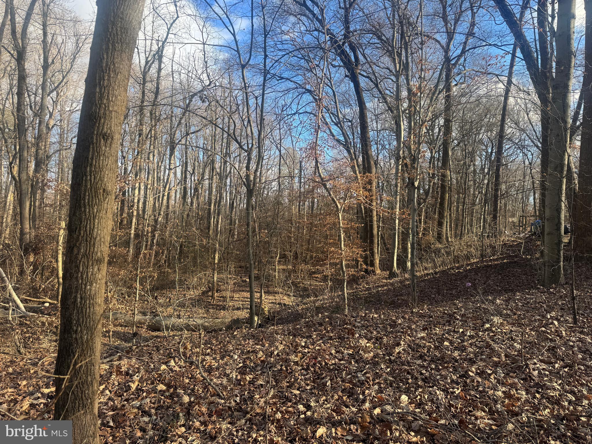 GLEN RIDGE ROAD