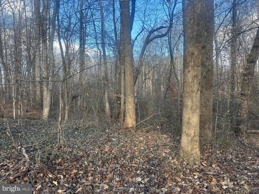 GLEN RIDGE ROAD