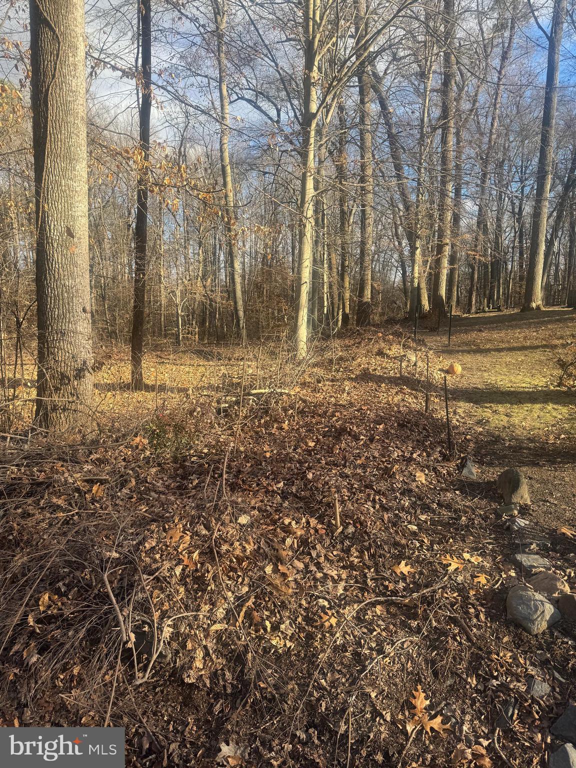 GLEN RIDGE ROAD