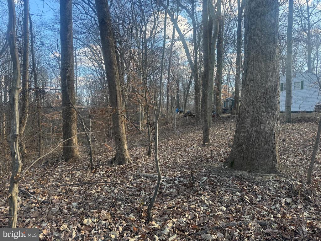 GLEN RIDGE ROAD