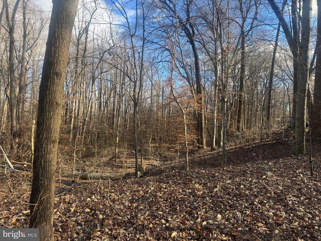 GLEN RIDGE ROAD