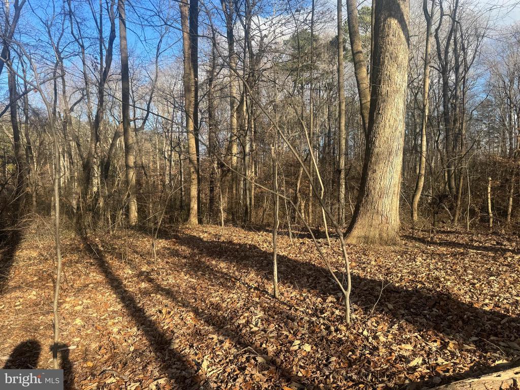 GLEN RIDGE ROAD