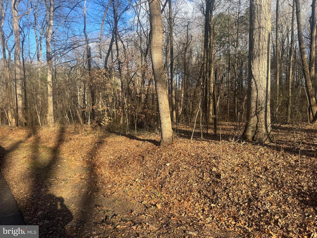 GLEN RIDGE ROAD