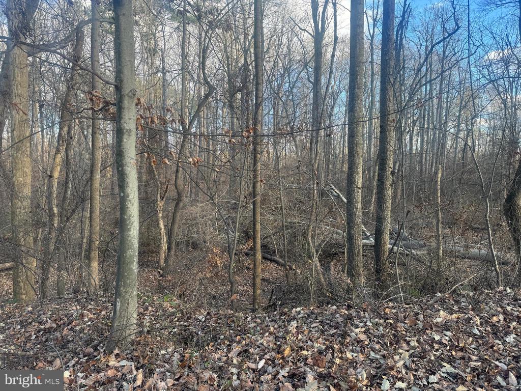 GLEN RIDGE ROAD
