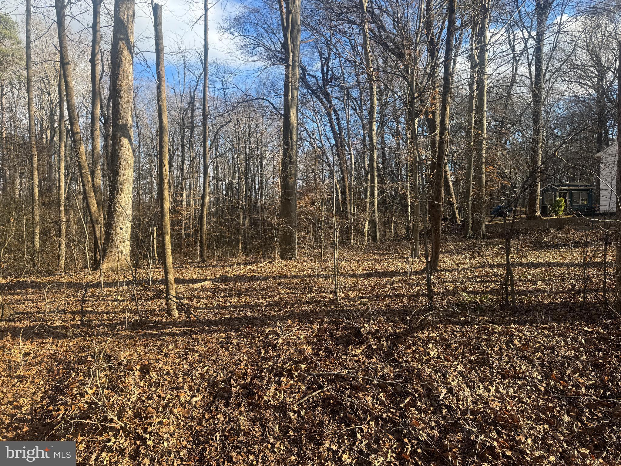 GLEN RIDGE ROAD