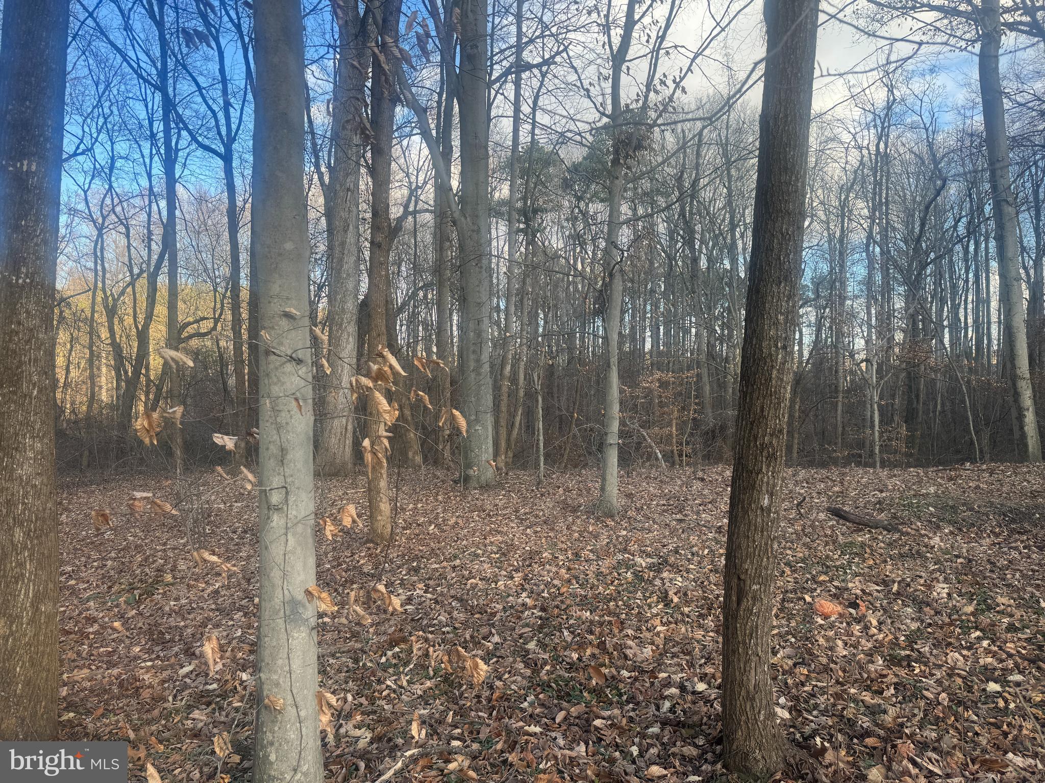 GLEN RIDGE ROAD
