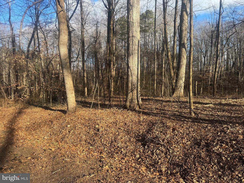 GLEN RIDGE ROAD
