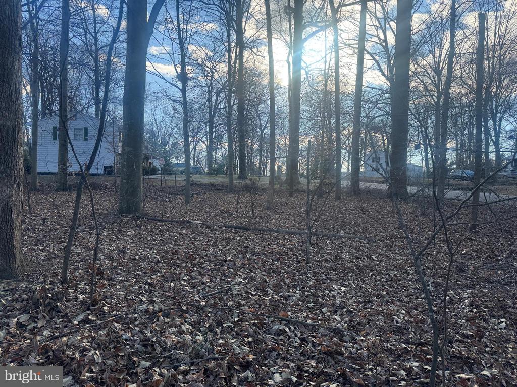 GLEN RIDGE ROAD