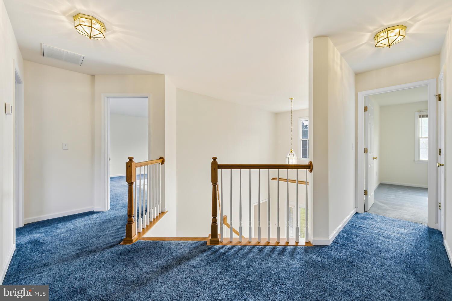 30224 CHESTNUT RIDGE LANE