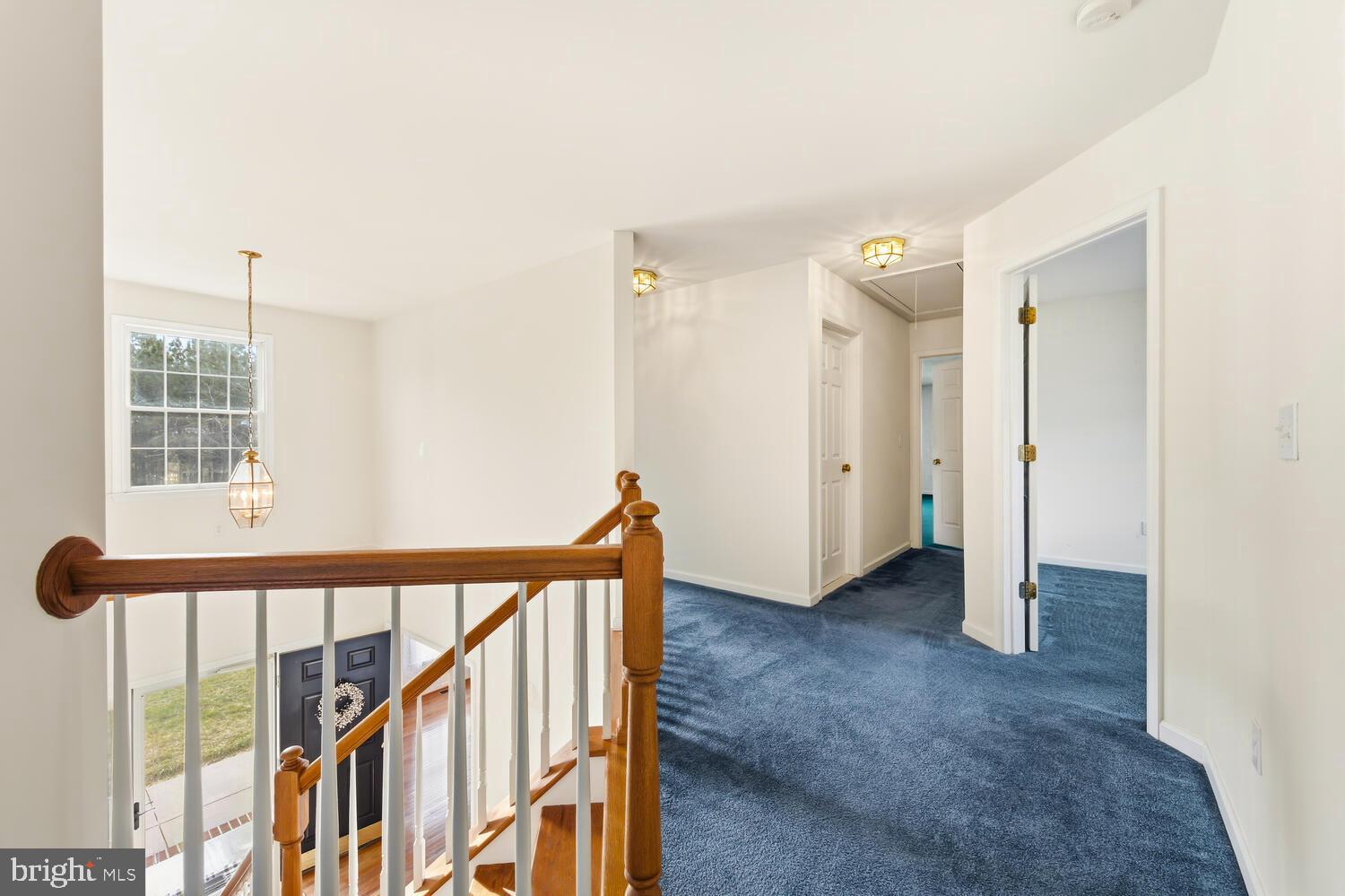 30224 CHESTNUT RIDGE LANE