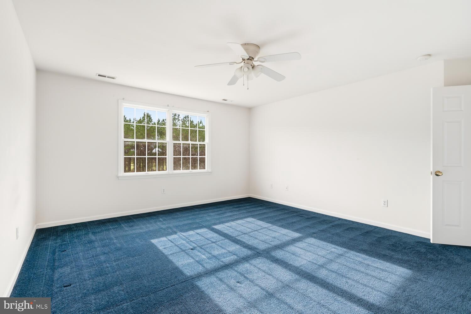 30224 CHESTNUT RIDGE LANE