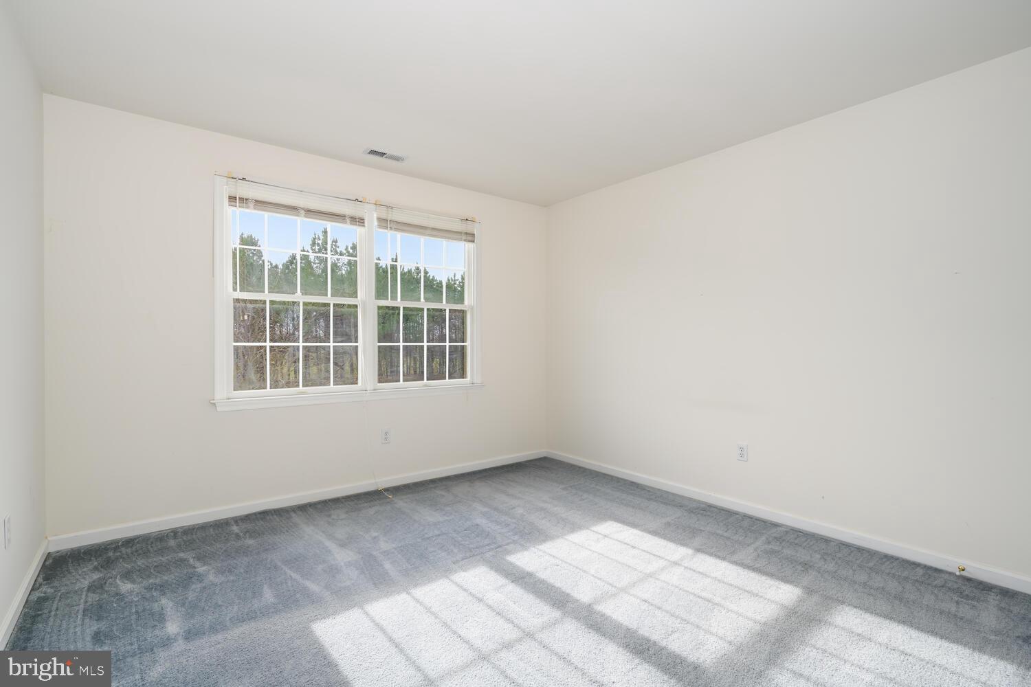 30224 CHESTNUT RIDGE LANE