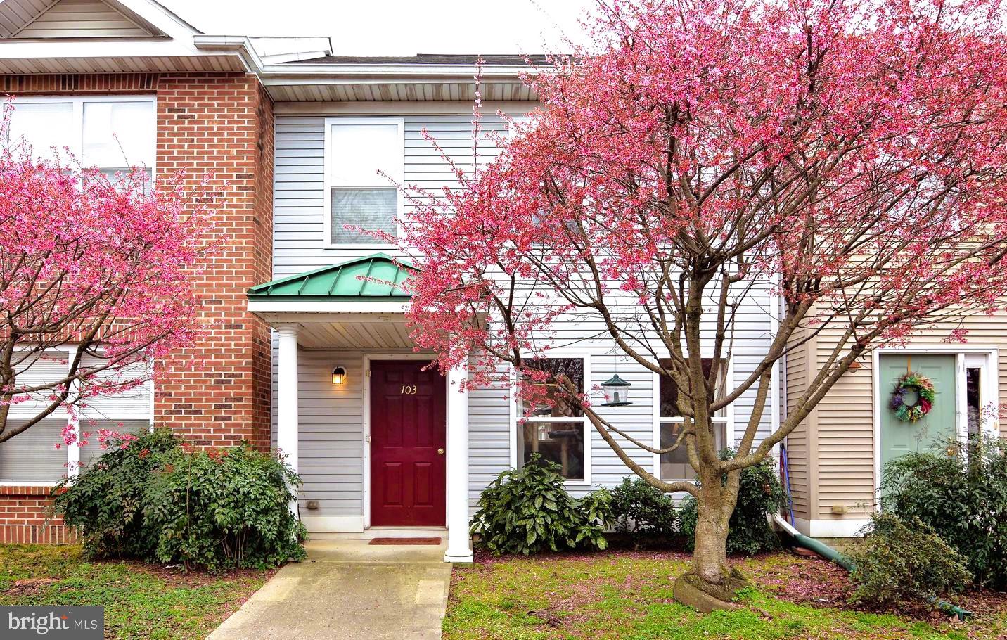 510 BROOKLETTS AVENUE 103