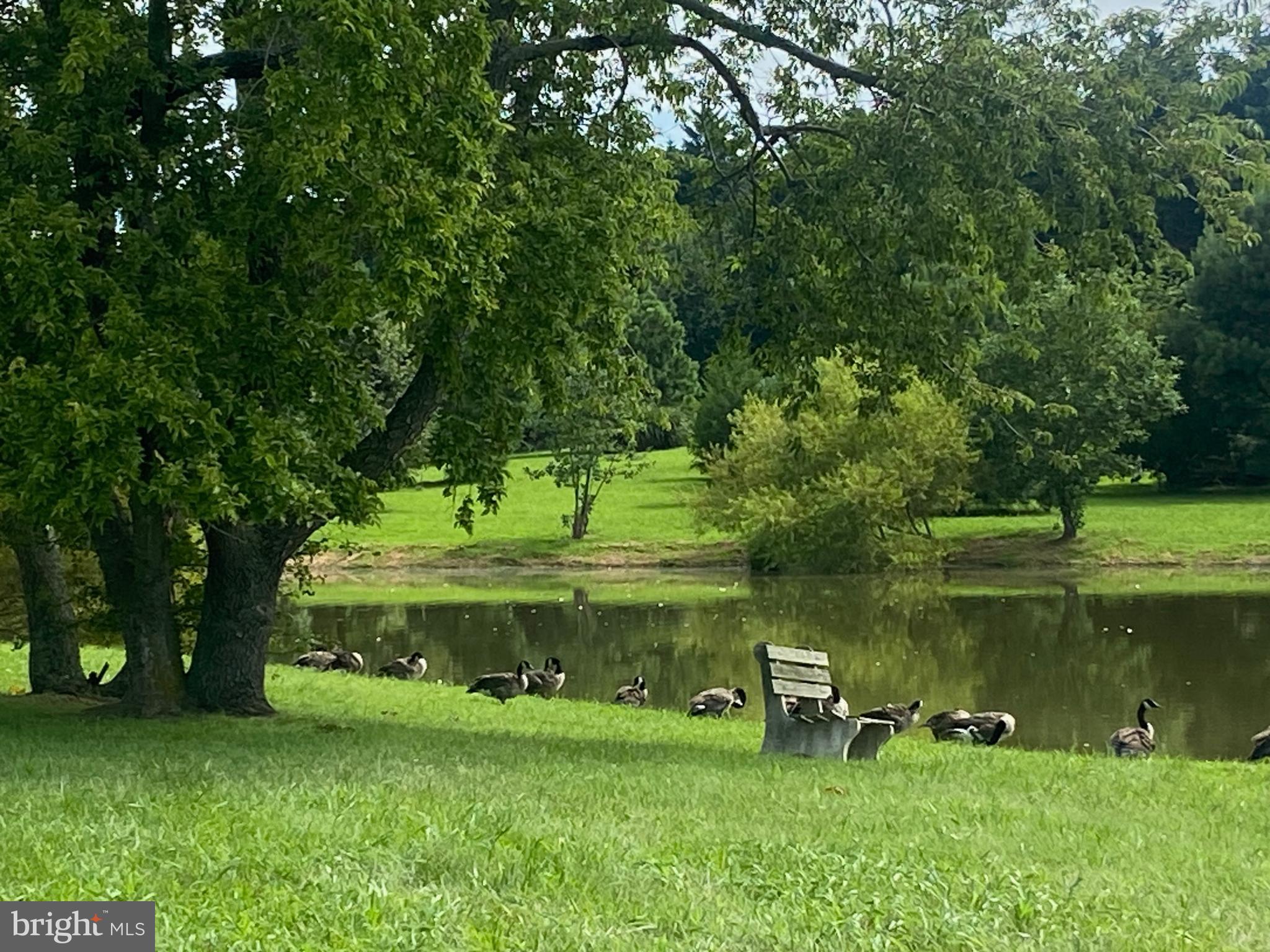 29569 PORPOISE CREEK ROAD