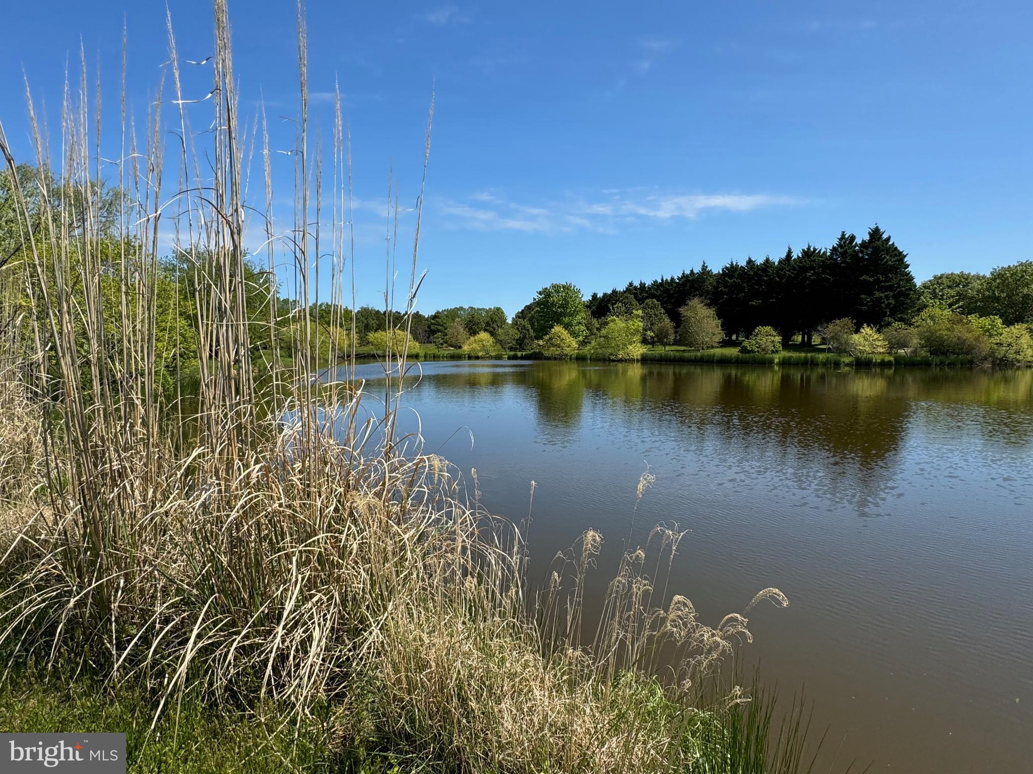 29569 PORPOISE CREEK ROAD