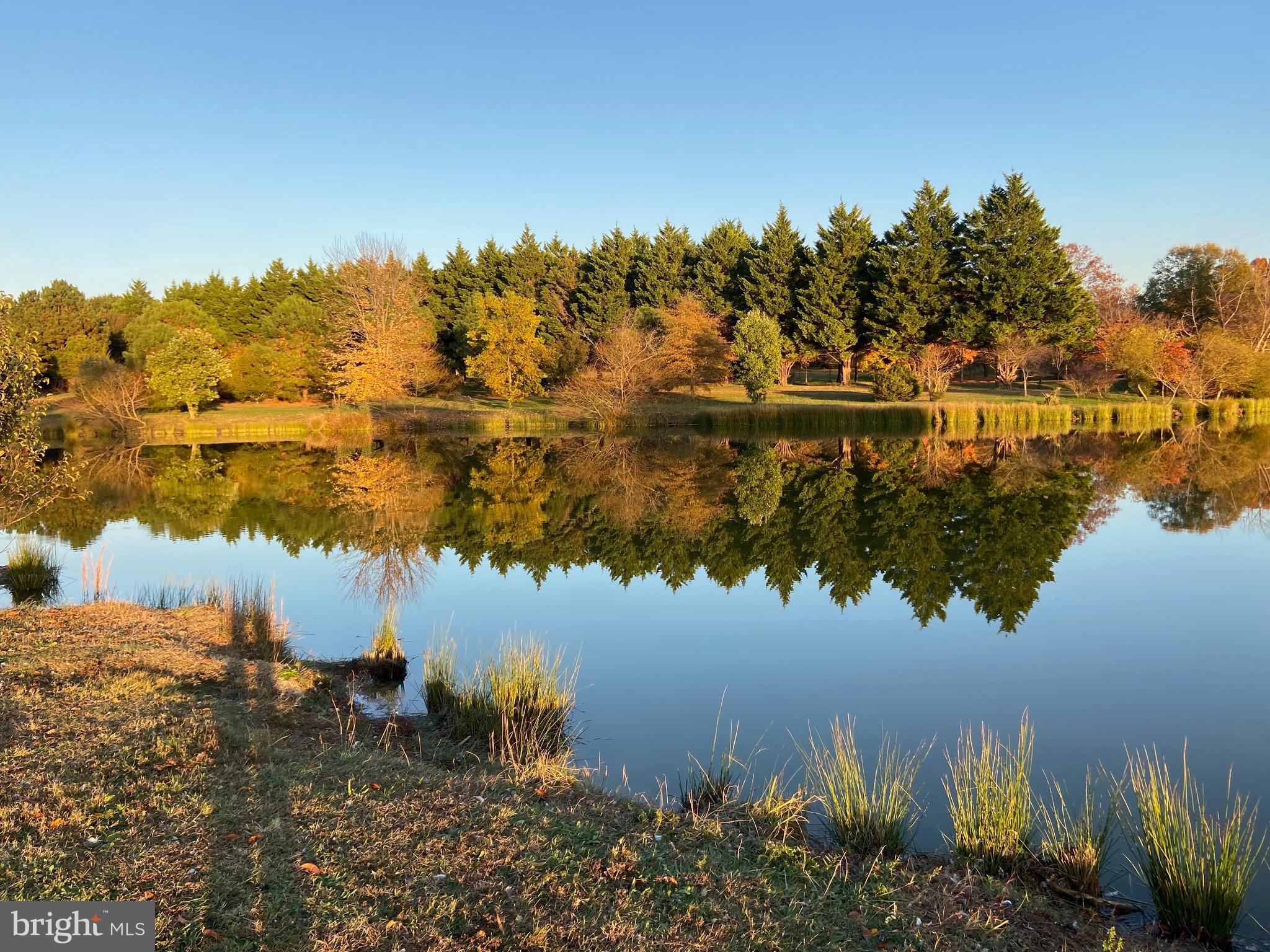 29569 PORPOISE CREEK ROAD