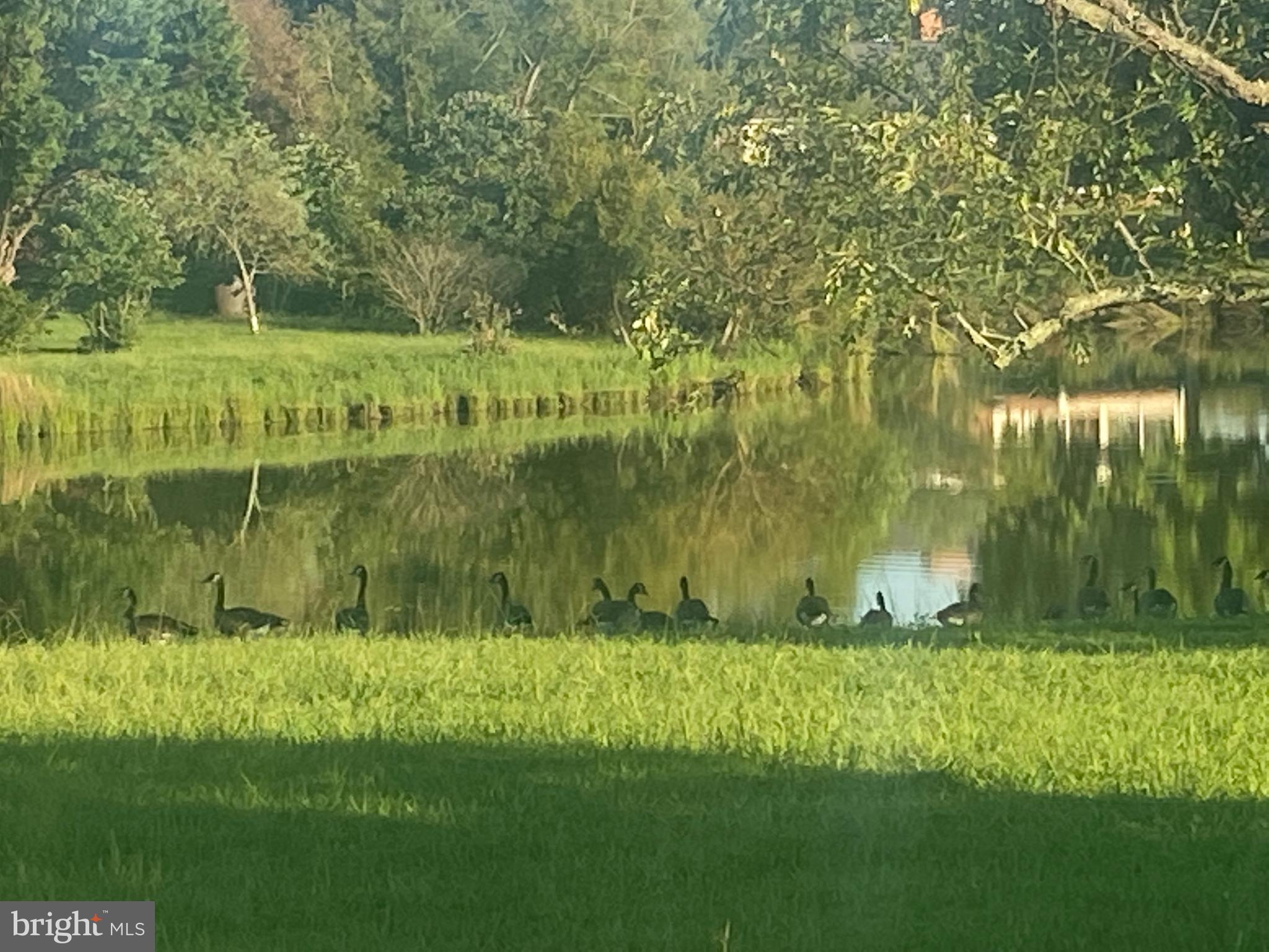 29569 PORPOISE CREEK ROAD