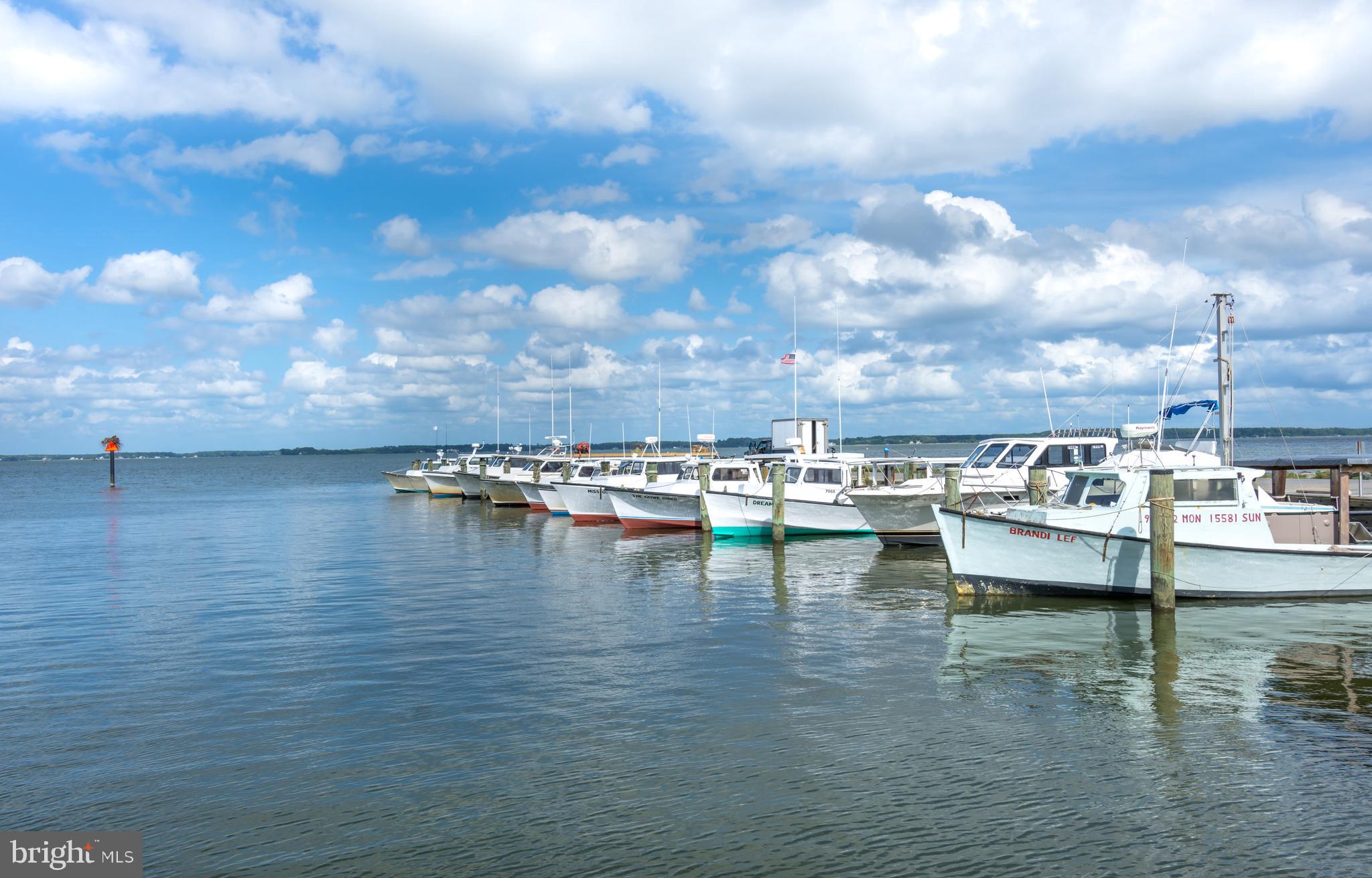 6390 BOZMAN NEAVITT ROAD