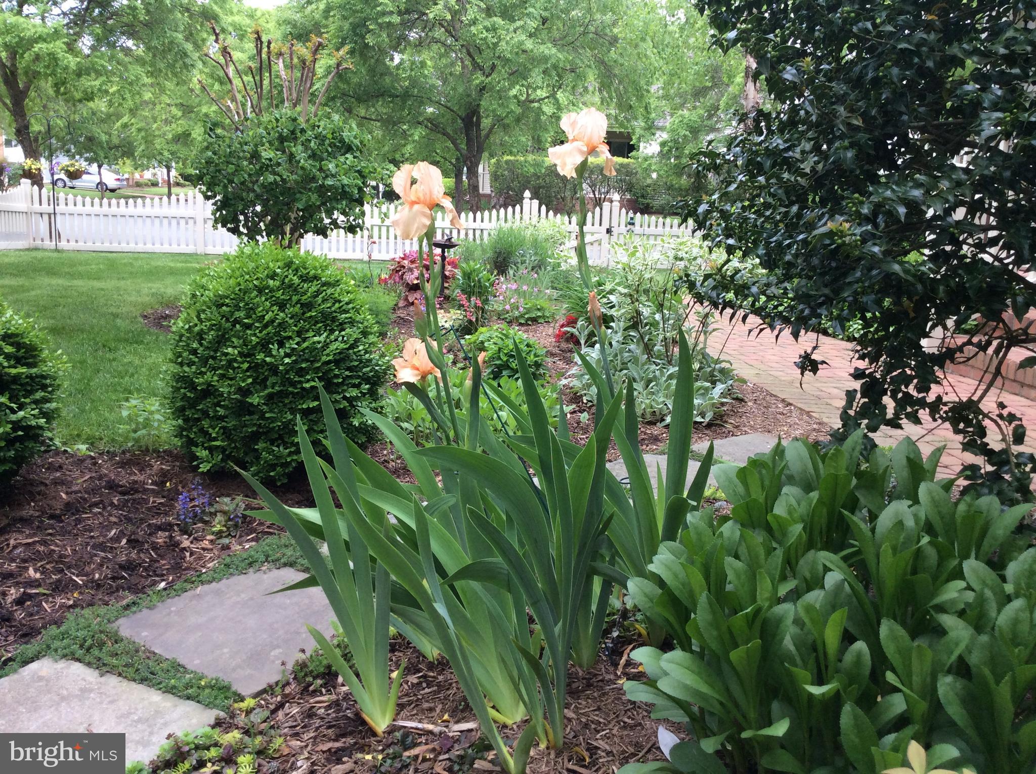 28713 EMANUEL STREET