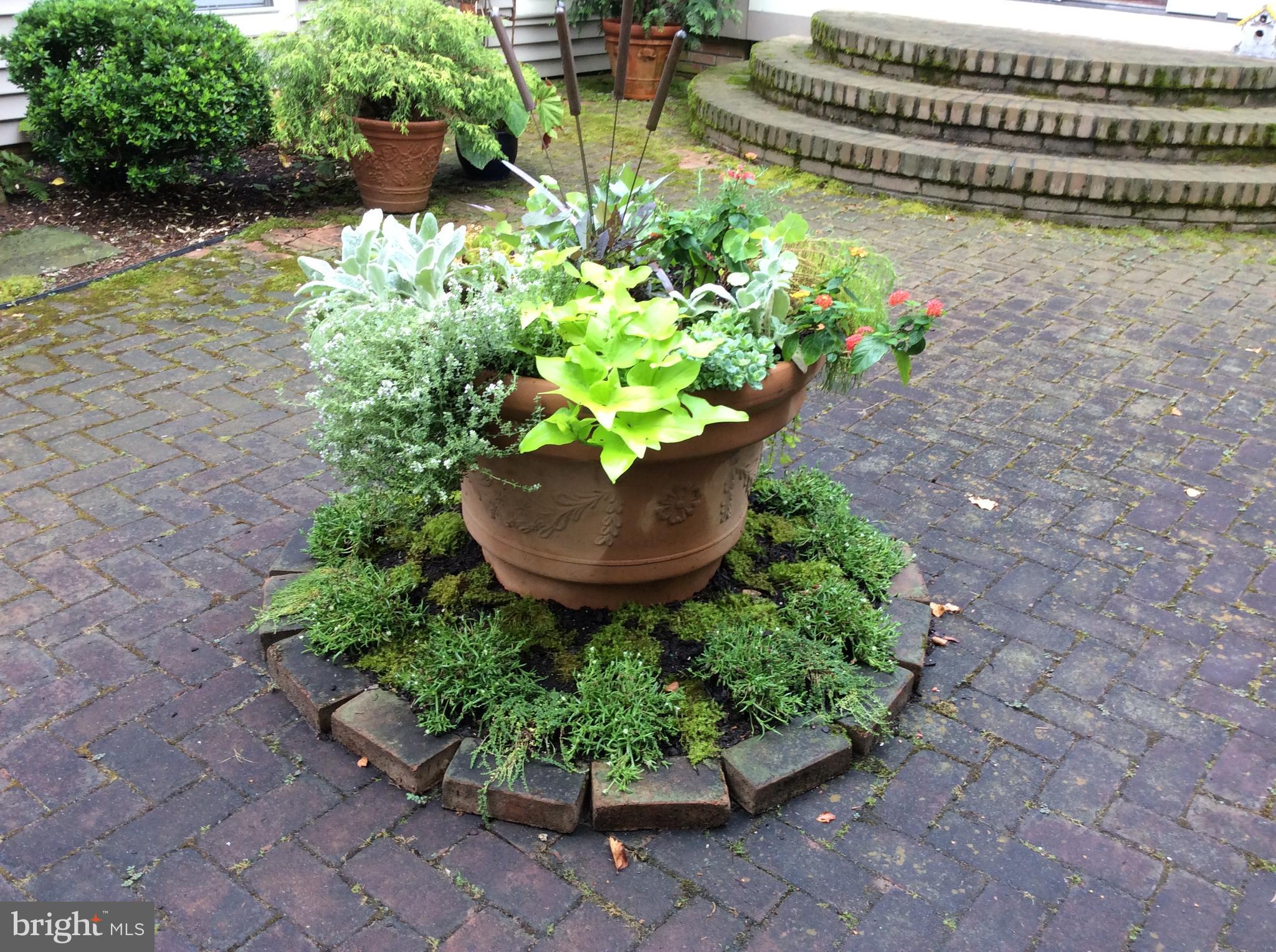 28713 EMANUEL STREET