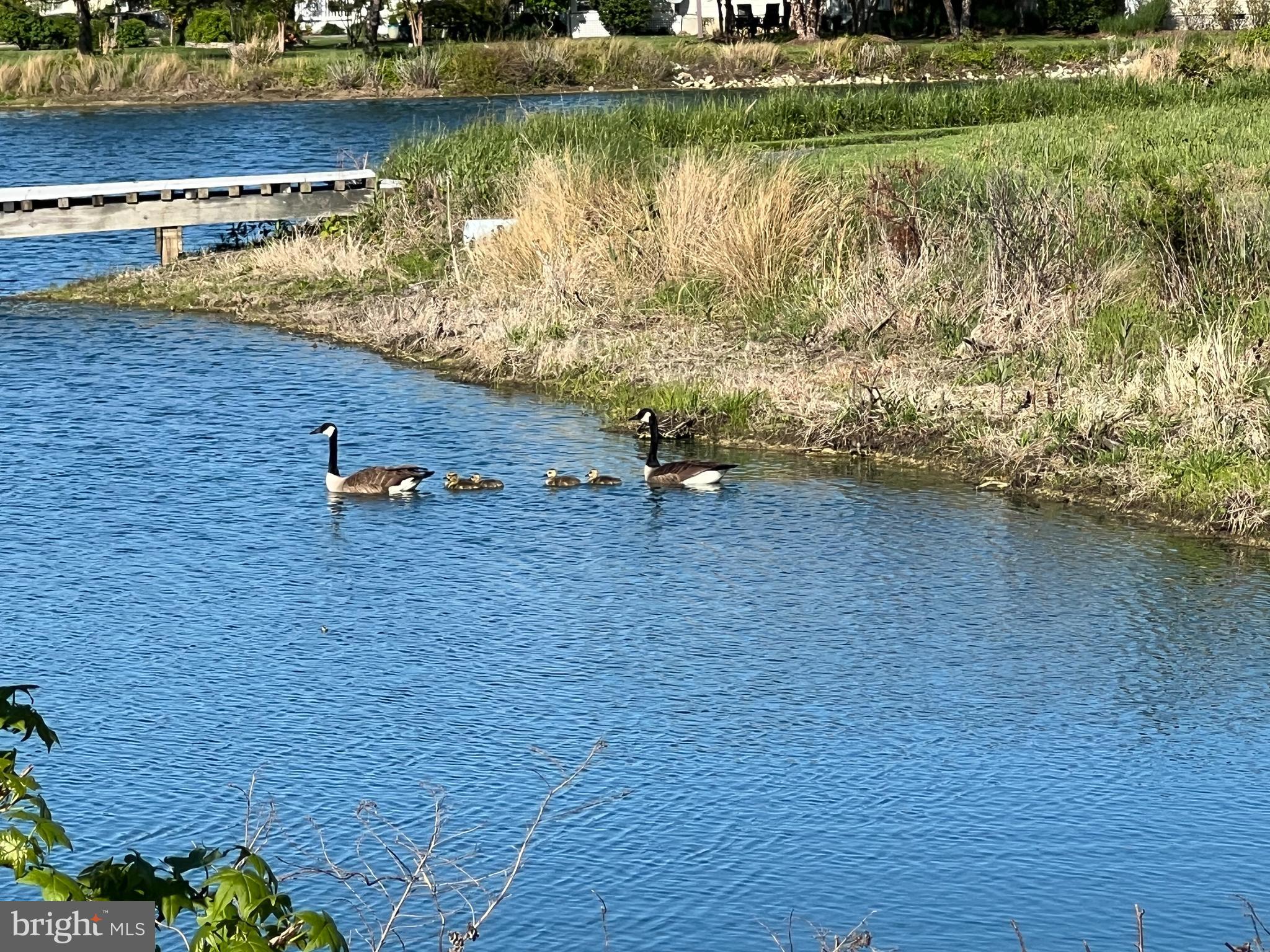 24965 BACK CREEK DRIVE