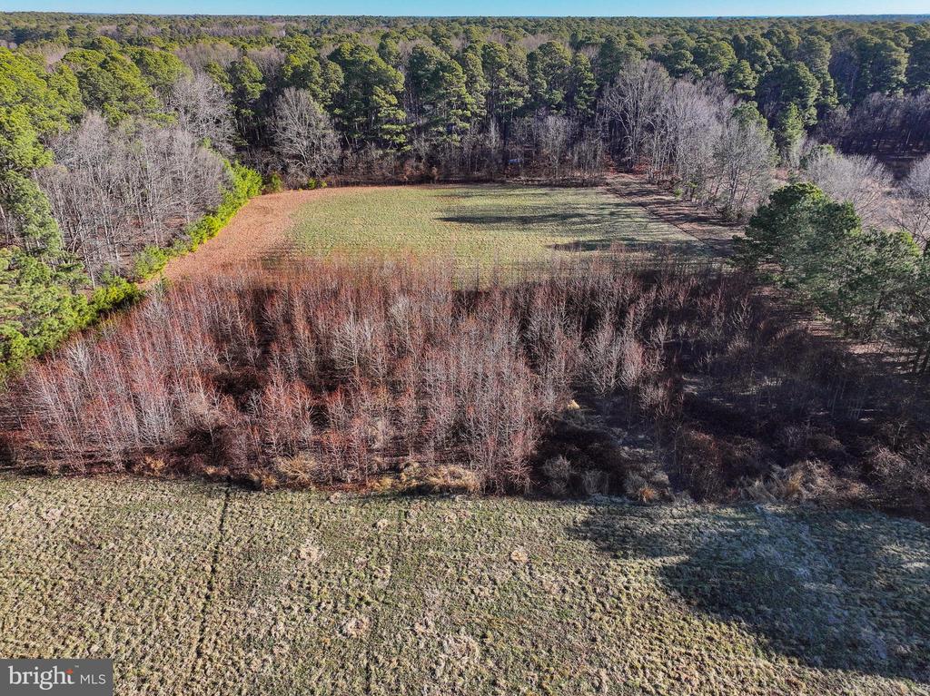 COOPER POINT ROAD