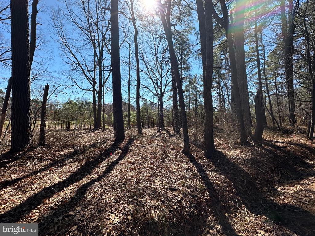COOPER POINT ROAD