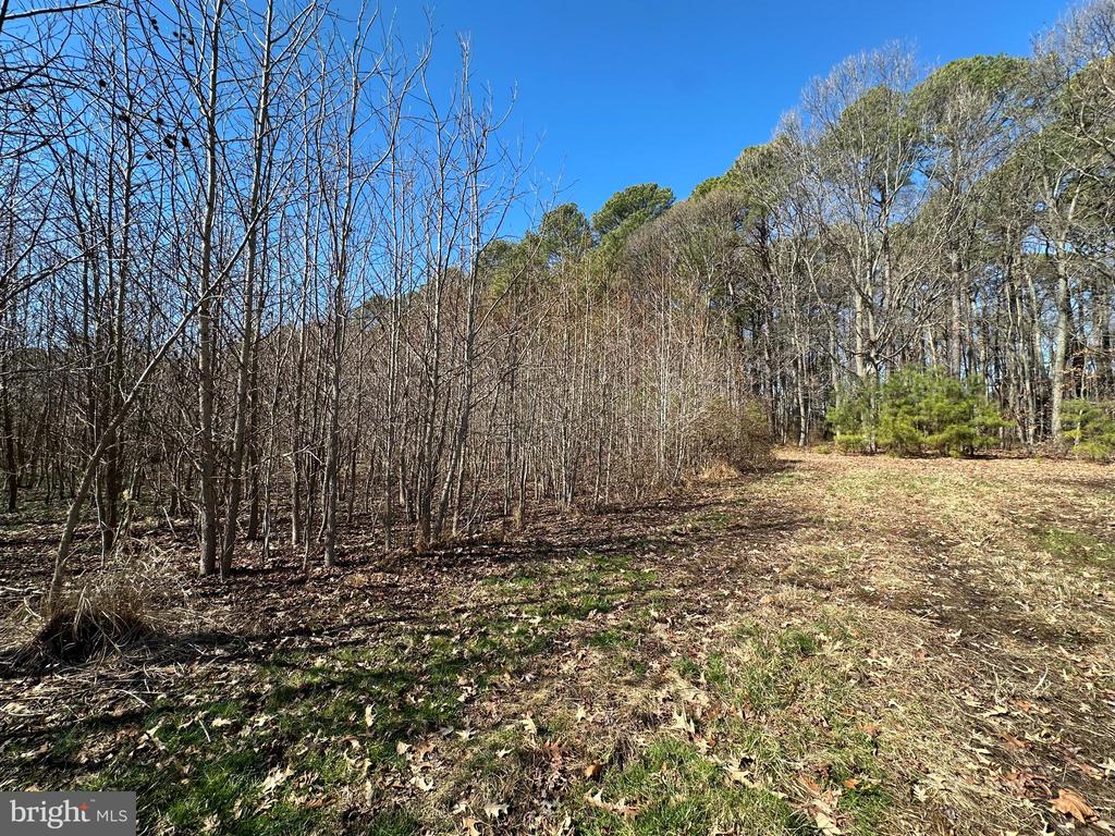 COOPER POINT ROAD