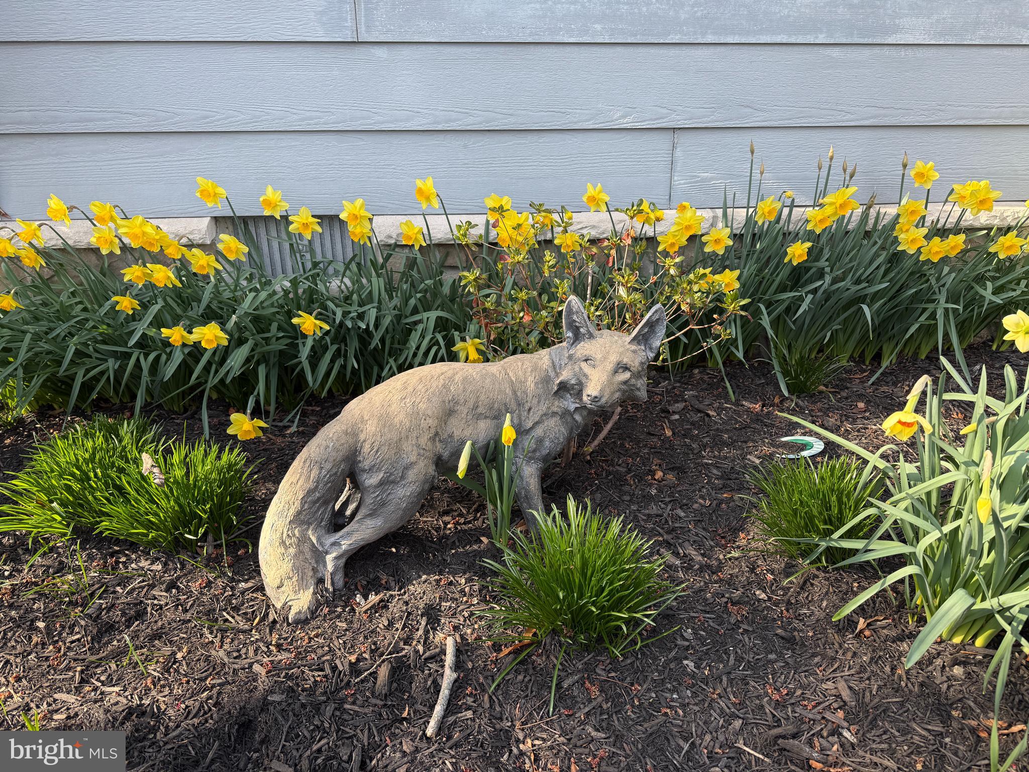 5995 ELSTON SHORE ROAD