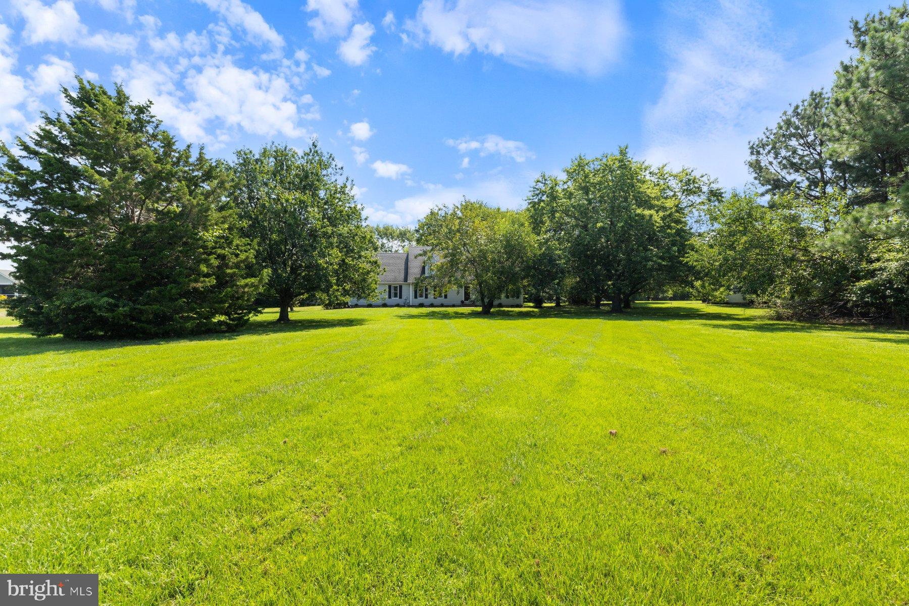 6705 TILGHMAN ISLAND ROAD