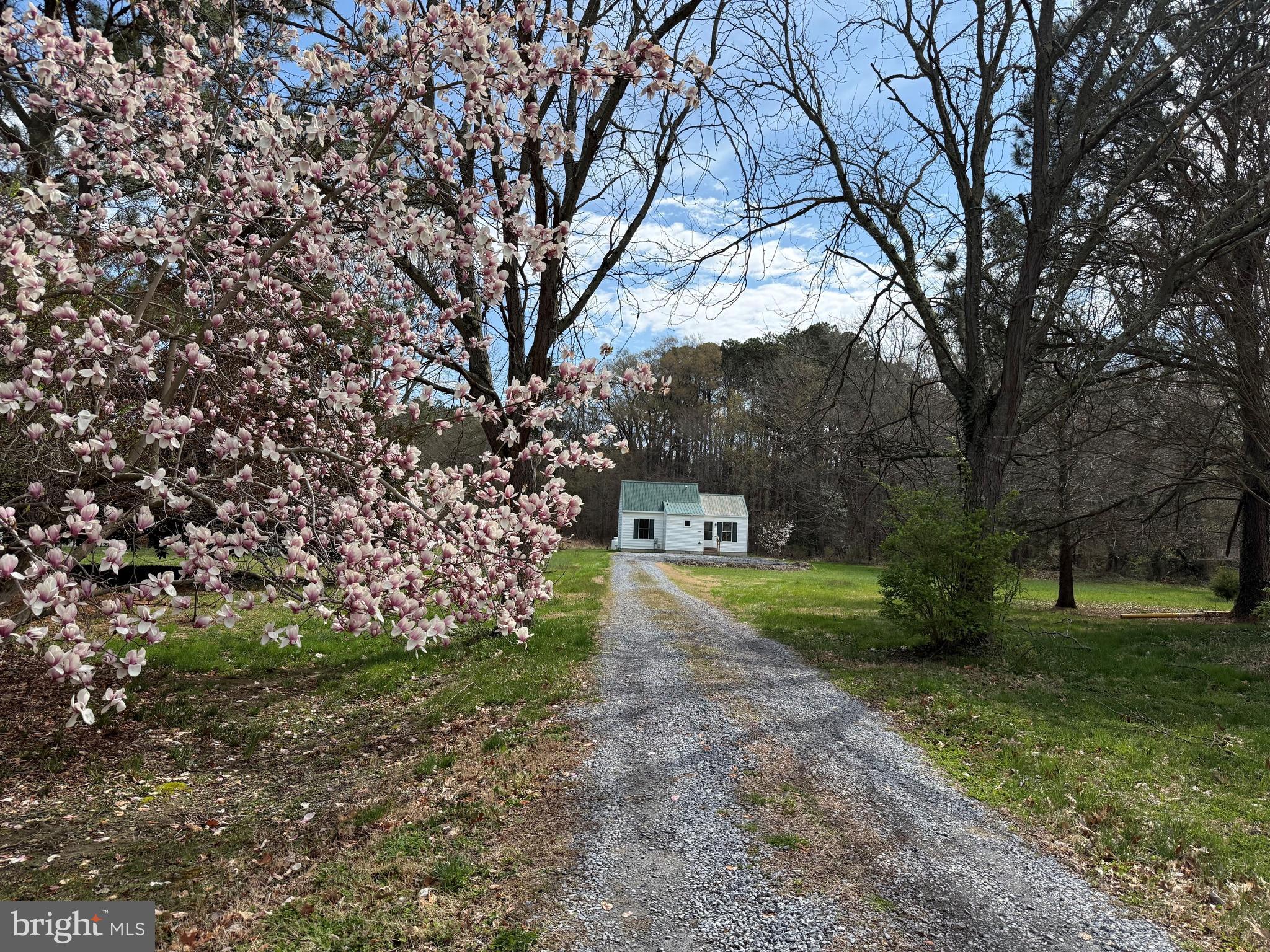 6937 BELLEVUE ROAD
