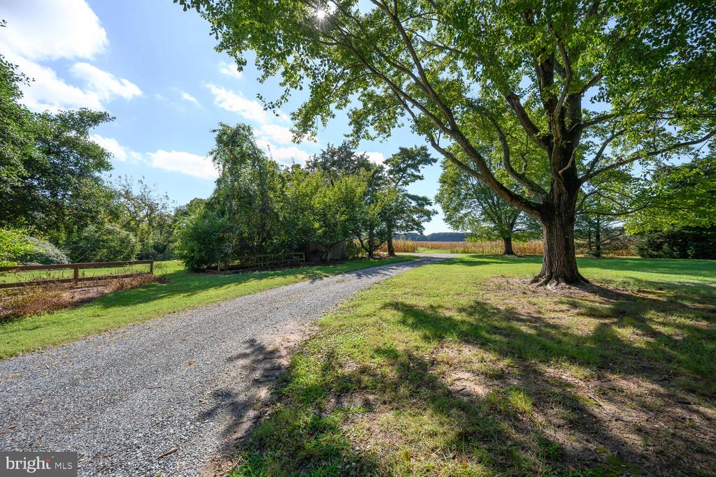 28923 ISLAND CREEK ROAD