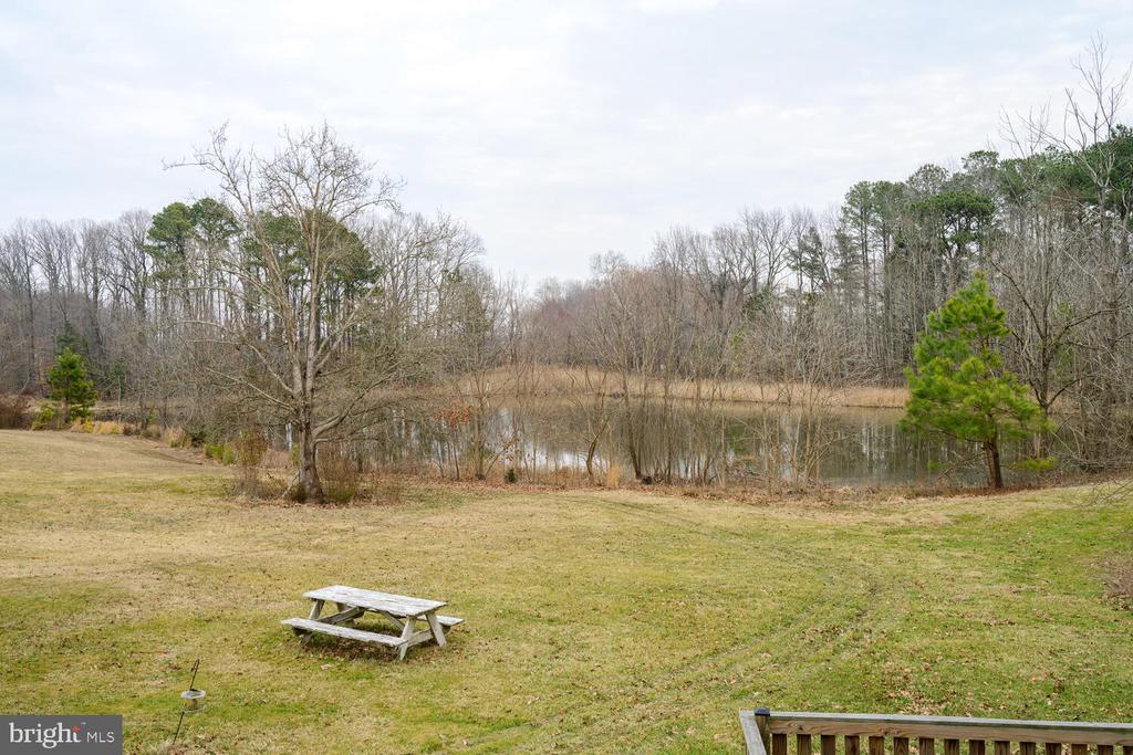 28923 ISLAND CREEK ROAD