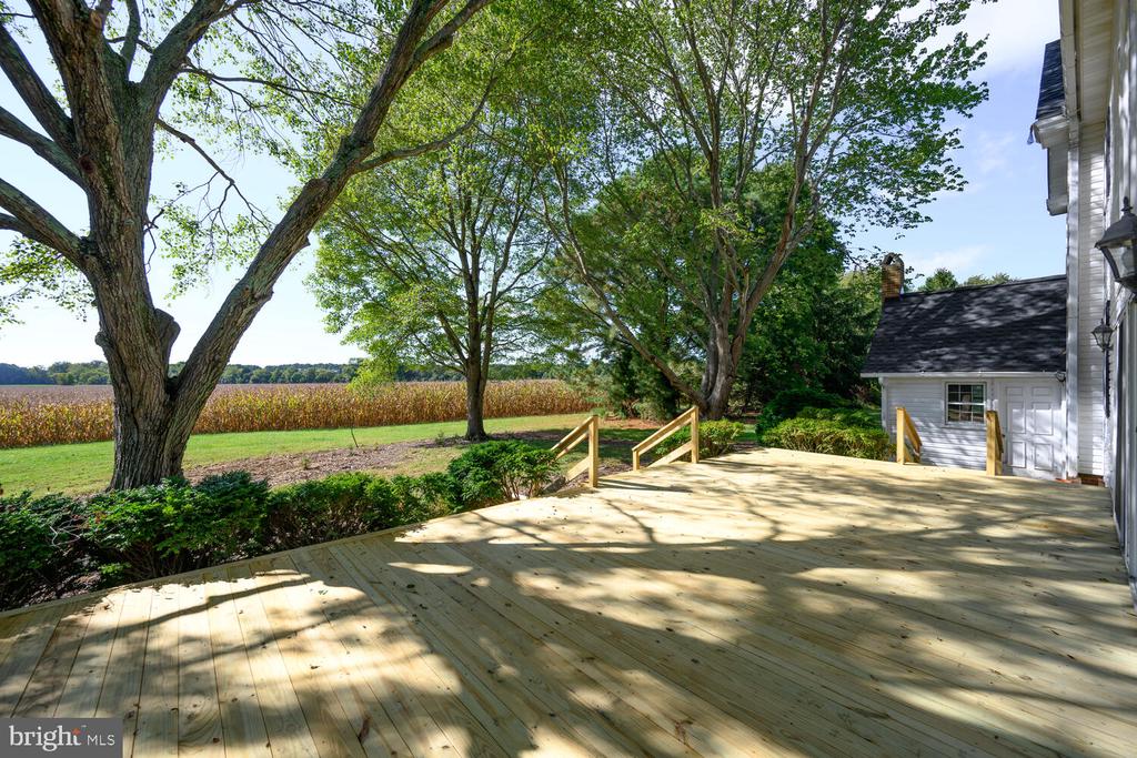 28923 ISLAND CREEK ROAD